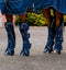 Horseware Signature Travel Boots, Navy