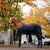 Horseware Autumn Cooler